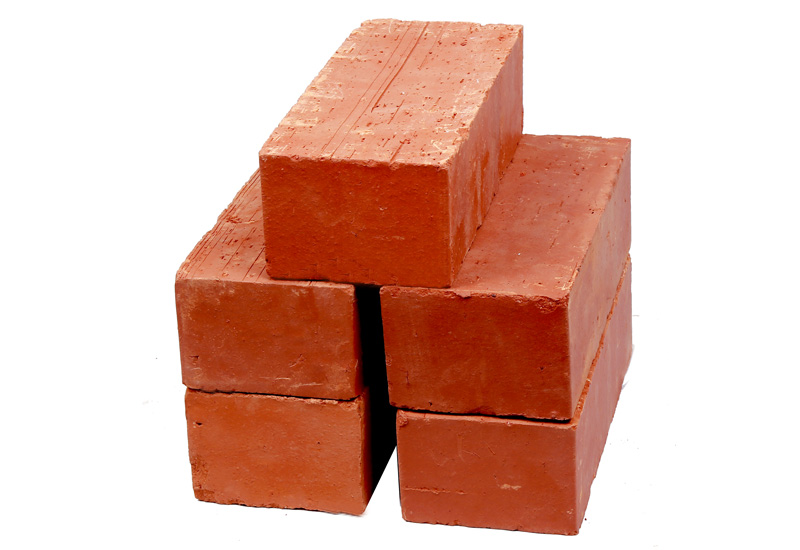 Wire Cut Bricks
